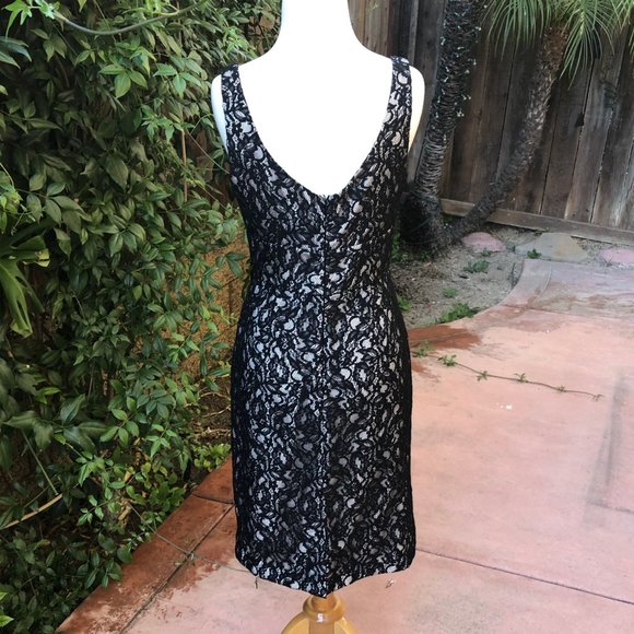 White House Black Market Dresses Whbm Lace Sheath Cocktail Dress
